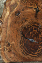 Load image into Gallery viewer, Exhibition Claro Walnut Burl Slab