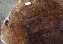 Load image into Gallery viewer, XF Rustic Claro Walnut Burl Slab