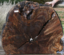 Load image into Gallery viewer, XF Rustic Claro Walnut Burl Slab