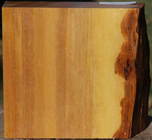 Load image into Gallery viewer, Pequiarana Live Edge Bowl Blank
