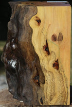 Load image into Gallery viewer, Rustic Pequiarana Live Edge Vessel Blank
