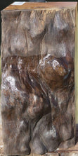 Load image into Gallery viewer, Rustic Pequiarana Live Edge Vessel Blank