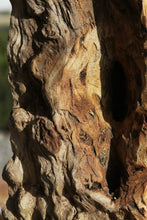 Load image into Gallery viewer, Pequiarana Mantel
