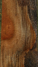 Load image into Gallery viewer, Rustic Exhibition Pomelle Sapele Live Edge Lumber