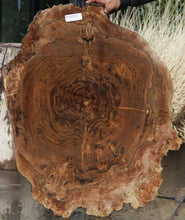 Load image into Gallery viewer, Claro Walnut Burl Slab