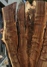 Load image into Gallery viewer, Rustic Feather Crotch Claro Walnut Slab
