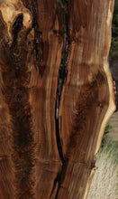 Load image into Gallery viewer, Rustic Feather Crotch Claro Walnut Slab