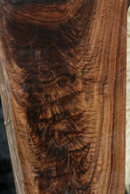 Load image into Gallery viewer, Exhibition Grade Feather Crotchwood Claro Walnut Gun Blank