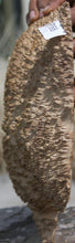 Load image into Gallery viewer, Red Coolibah Burl Cap
