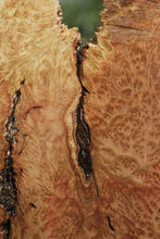 Load image into Gallery viewer, Red Coolibah Burl Cap