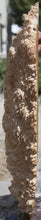 Load image into Gallery viewer, Red Coolibah Burl Cap