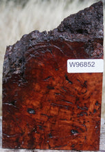Load image into Gallery viewer, Asian Pan Burl Live Edge Bowl Blank
