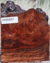 Load image into Gallery viewer, Asian Pan Burl Live Edge Bowl Blank