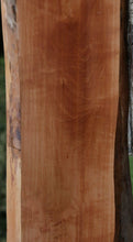 Load image into Gallery viewer, Swiss Pear Mini Slab