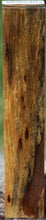 Load image into Gallery viewer, Wormy Black and White Ebony Turning Square