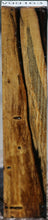 Load image into Gallery viewer, Wormy Black and White Ebony Turning Blank