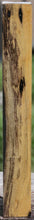 Load image into Gallery viewer, Wormy Black and White Ebony Turning Square