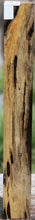Load image into Gallery viewer, Wormy Black and White Ebony Turning Square