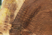 Load image into Gallery viewer, Rustic Bastogne Walnut Half Cookie
