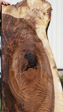 Load image into Gallery viewer, Rustic Bastogne Walnut Slab
