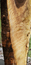 Load image into Gallery viewer, Rustic Bastogne Walnut Slab