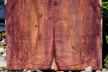 Load image into Gallery viewer, Camatillo Ukulele Back