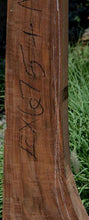 Load image into Gallery viewer, Exhibition Feather Crotch Figured Claro Walnut Mannlicher Blank