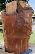 Load image into Gallery viewer, Profiled Claro Walnut Slab
