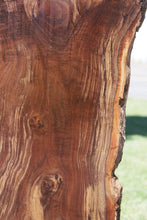 Load image into Gallery viewer, Profiled Claro Walnut Slab
