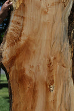 Load image into Gallery viewer, Profiled Maple Slab
