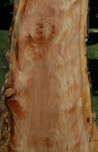 Load image into Gallery viewer, Figured Sitka Spruce Slab
