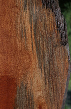 Load image into Gallery viewer, Exhibition Pomelle Sapele Slab
