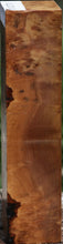 Load image into Gallery viewer, B Grade Asian Iron Burl Peppermill
