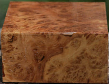 Load image into Gallery viewer, XF Figured Asian Iron Burl Bowl Blank
