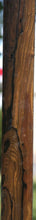 Load image into Gallery viewer, Ziricote Lumber
