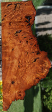 Load image into Gallery viewer, Afzelia Burl Slice
