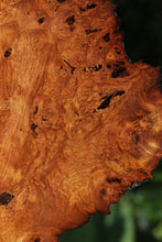 Load image into Gallery viewer, Afzelia Burl Slice
