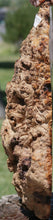 Load image into Gallery viewer, Red Gum Resin Burl Cap
