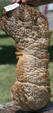 Load image into Gallery viewer, Red Mallee Burl Cap

