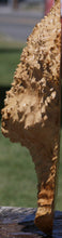 Load image into Gallery viewer, Red Mallee Burl Cap
