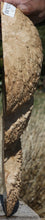 Load image into Gallery viewer, Exhibition Grade Red Mallee Burl Cap
