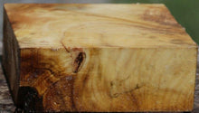 Load image into Gallery viewer, Buckeye Burl Bowl Blank
