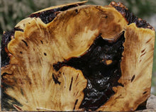Load image into Gallery viewer, Buckeye Burl Slice
