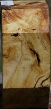 Load image into Gallery viewer, Buckeye Burl Bowl Blank
