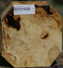 Load image into Gallery viewer, Buckeye Burl Bowl Blank
