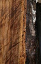 Load image into Gallery viewer, Claro Walnut Crotchwood Slab
