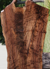 Load image into Gallery viewer, Claro Walnut Crotchwood Slab
