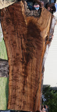 Load image into Gallery viewer, Claro Walnut Crotchwood Slab
