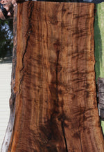 Load image into Gallery viewer, Claro Walnut Crotchwood Slab
