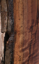 Load image into Gallery viewer, Claro Walnut Crotchwood Slab

